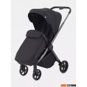 Детские коляски и аксессуары Rant Golf RA101 (black)