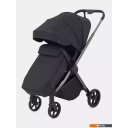 Детские коляски и аксессуары Rant Golf RA101 (black)