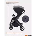 Детские коляски и аксессуары Rant Golf RA101 (black)