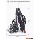 Детские коляски и аксессуары Rant Mowbaby Tandem MB170 (black)