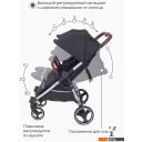 Детские коляски и аксессуары Rant Mowbaby Tandem MB170 (black)