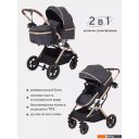 Детские коляски и аксессуары Rant Basic Pulsar Gold RA160 (2 в 1, grey)