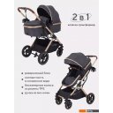 Детские коляски и аксессуары Rant Basic Pulsar Gold RA160 (2 в 1, grey) Детские коляски и аксессуары Rant Basic Pulsar Gold RA160 (2 в 1, grey)
