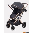 Детские коляски и аксессуары Rant Basic Pulsar Gold RA160 (2 в 1, grey)