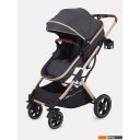 Детские коляски и аксессуары Rant Basic Pulsar Gold RA160 (2 в 1, grey)