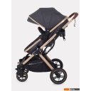 Детские коляски и аксессуары Rant Basic Pulsar Gold RA160 (2 в 1, grey)