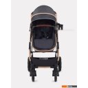 Детские коляски и аксессуары Rant Basic Pulsar Gold RA160 (2 в 1, grey)