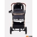 Детские коляски и аксессуары Rant Basic Pulsar Gold RA160 (2 в 1, grey)