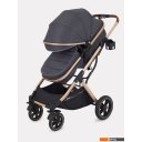 Детские коляски и аксессуары Rant Basic Pulsar Gold RA160 (2 в 1, grey)