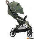 Детские коляски и аксессуары Chicco Goody Xplus (Twinkle Green)