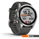 Умные часы и браслеты Garmin Fenix 7S (серебристый/графитовый)