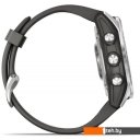 Умные часы и браслеты Garmin Fenix 7S (серебристый/графитовый)