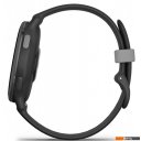 Умные часы и браслеты Garmin Vivoactive 5 (черный)