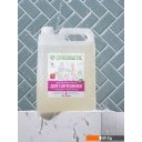 Бытовая химия Synergetic Для мытья сантехники кислотное, биоразлагаемое 5 л