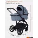 Детские коляски и аксессуары Rant Basic Nexus RA106 (2 в 1, черный)