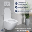 Унитазы Lauter Sulzdorf (белый с микролифтом)