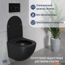 Унитазы Lauter Sulzdorf (черный с микролифтом)