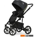 Детские коляски и аксессуары Riko Ozon (2 в 1, 02) Детские коляски и аксессуары Riko Ozon (2 в 1, 02)