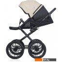 Детские коляски и аксессуары Riko Montana Ecco Prestige (2 в 1, 15/бежевый)