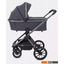 Детские коляски и аксессуары Rant Falcon RA097 (2 в 1, graphite)