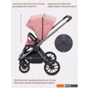 Детские коляски и аксессуары Rant Falcon RA097 (2 в 1, розовый)