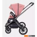 Детские коляски и аксессуары Rant Falcon RA097 (2 в 1, розовый)