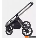 Детские коляски и аксессуары Rant Falcon RA097 (2 в 1, розовый)