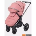 Детские коляски и аксессуары Rant Falcon RA097 (2 в 1, розовый)