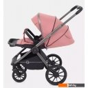 Детские коляски и аксессуары Rant Falcon RA097 (2 в 1, розовый)