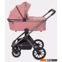 Детские коляски и аксессуары Rant Falcon RA097 (2 в 1, розовый)