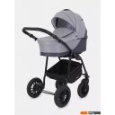 Детские коляски и аксессуары Rant Siena New (2 в 1, 02 темно-серый/светло-серый) Детские коляски и аксессуары Rant Siena New (2 в 1, 02 темно-серый/светло-серый)