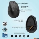 Мыши Logitech Lift (графит)