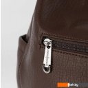 Женские и мужские сумки Passo Avanti 500-10821Z-DBW (темно-коричневый)