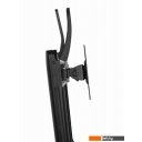 Кронштейны Gembird MS-D2-01
