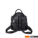 Рюкзаки Mironpan 8531 (черный)