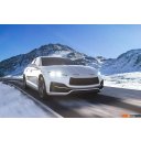 Автомобильные лампы Philips H7 WhiteVision 2шт