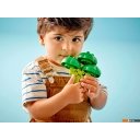 Конструкторы LEGO Duplo 10982 Трактор для перевозки овощей и фруктов