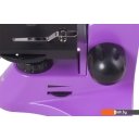 Игры-опыты, эксперименты Levenhuk Rainbow 50L Plus (аметист) 69052