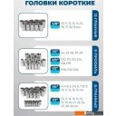 Наборы инструментов Scheppach 38841+2 (216 предметов)