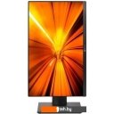 Моноблоки ТЕСЛА P24BP 2416500