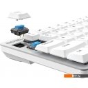 Клавиатуры Dareu EK868 (Kaihl Brown switch, White-Blue)