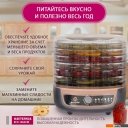 Сушилки для овощей и фруктов Мастерица EFD-1004VM