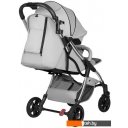 Детские коляски и аксессуары Farfello Sunrise FS-003 (серый/серебристый)