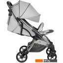 Детские коляски и аксессуары Farfello Sunrise FS-003 (серый/серебристый)