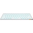 Клавиатуры A4Tech Fstyler FX61 (серебристый/белый)