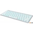 Клавиатуры A4Tech Fstyler FX61 (серебристый/белый)