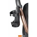 Детские коляски и аксессуары Farfello Sunrise FS-002 (черный/золото)