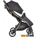 Детские коляски и аксессуары Farfello Sunrise FS-002 (черный/золото)