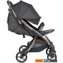Детские коляски и аксессуары Farfello Sunrise FS-002 (черный/золото)