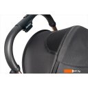 Детские коляски и аксессуары Farfello Sunrise FS-002 (черный/золото)